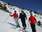 Diane, Mike, Dave