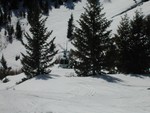 DSCN3414