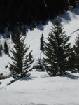 DSCN3415