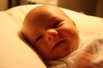 IMG 0219