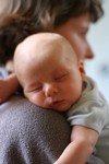 IMG 0525