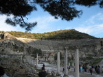 IMG 0956