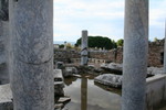 IMG 9557