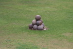 IMG 5725