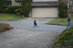 Catch me Daddy!