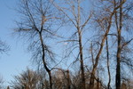 IMG 6145