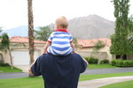 IMG 8601