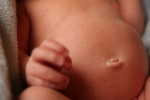 Belly button