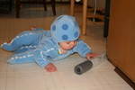 Octopus scouring the kitchen floor for toys