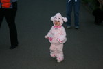 Claire, a pink poodle