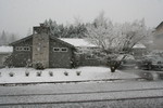 Snowy view