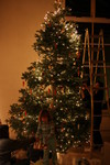 Giant Tree