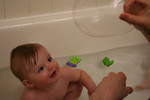 IMG 9762