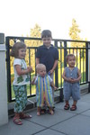 IMG 4739