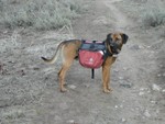 Tux, sporting his fancy schmancy backpack