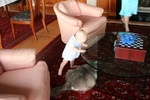 Easter Sunday, viewing Cat through the glass table.  hmmm.