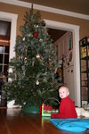 Will likes to play in front of the tree