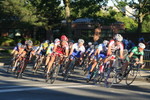IMG 4847