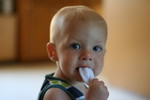 IMG 4682