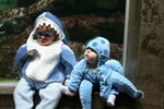 How often do a shark and octopus share a bench?