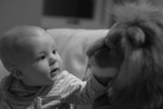 Taming the king of the jungle