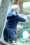 Lookin' at the fishes