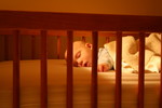 Sleeping Beauty