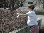 Pruning might help get labor going...