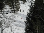 Hiking up to our trees
