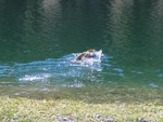 IMG 0636