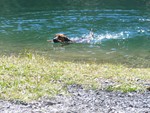 IMG 0637