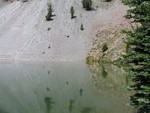 IMG 0644