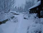 Tuesday Morning, Dec 7th