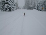 Tux and I going for a walk pre-plowing