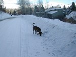 Nice snowbanks, now!